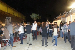 Festa del Vi de Lleida 2013