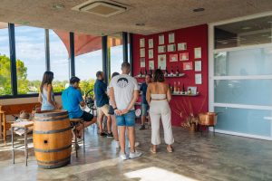 Visita i tast de vins a Vinya els Vilars